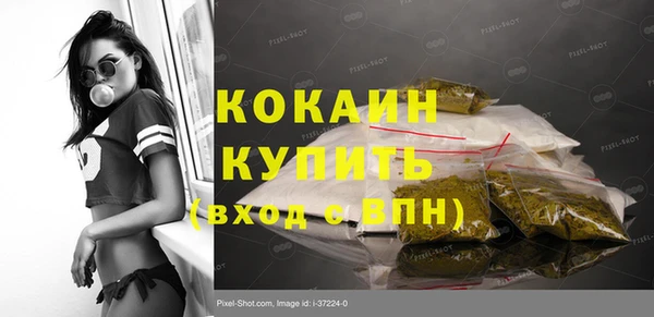 стаф Абинск