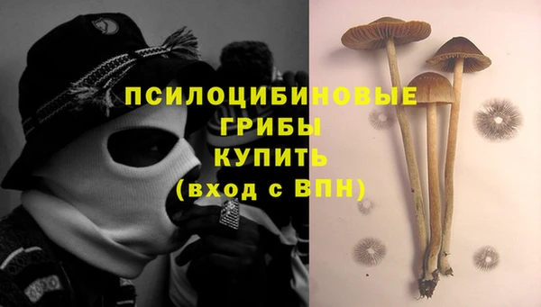 стаф Абинск