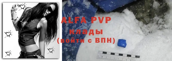 стаф Абинск