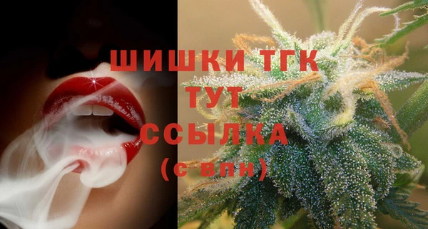 стаф Абинск