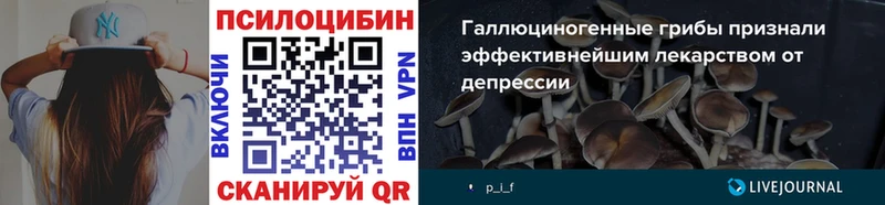 Галлюциногенные грибы Magic Shrooms  Полтавская 